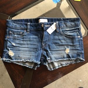 Brand new express shorts!